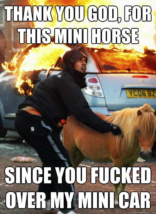 thank you god, for this mini horse since you fucked over my mini car  