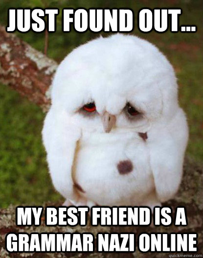Just found out... My best friend is a grammar Nazi online  Depressed Owl