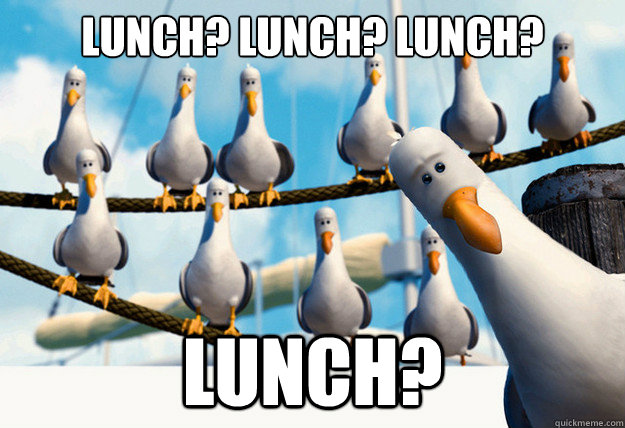 Lunch? Lunch? Lunch?  Lunch?   Finding Nemo Mine Seagulls