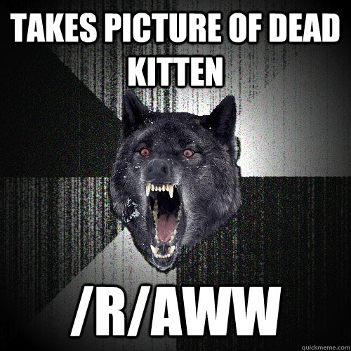Takes picture of dead kitten /r/aww  Insanity Wolf