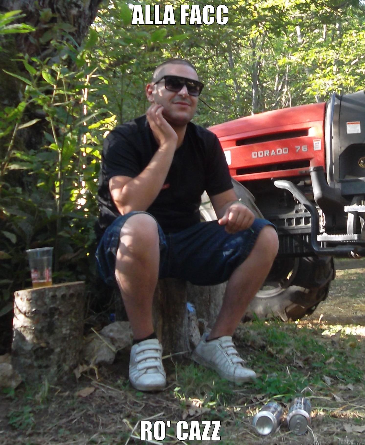 Alla facc ro' cazz - ALLA FACC RO' CAZZ Misc