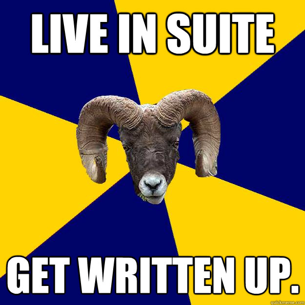 Live in suite Get written up.  Suffolk Kid Ram