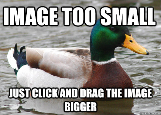 Image too small Just click and drag the image bigger  Actual Advice Mallard