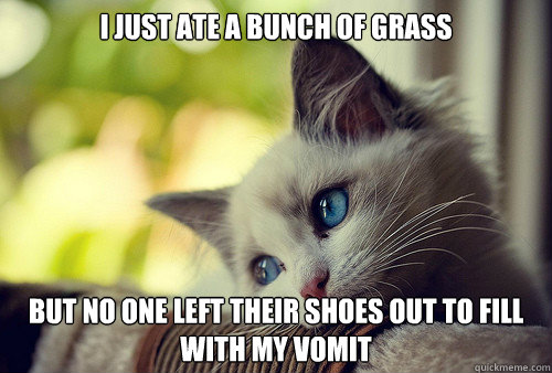 I just ate a bunch of grass but no one left their shoes out to fill with my vomit  First World Problems Cat