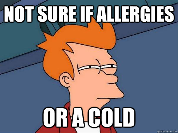 not sure if allergies or a cold - not sure if allergies or a cold  Futurama Fry
