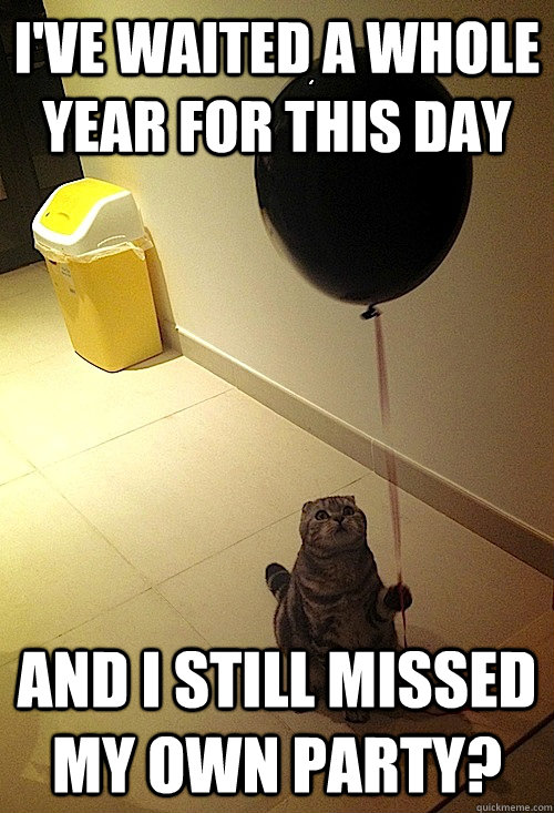 I've waited a whole year for this day and i still missed my own party? - I've waited a whole year for this day and i still missed my own party?  Sad Birthday Cat