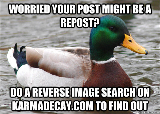 Worried your post might be a repost? Do a reverse image search on karmadecay.com to find out  Actual Advice Mallard