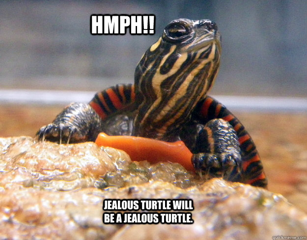 HMPH!! Jealous Turtle will be a jealous turtle. - HMPH!! Jealous Turtle will be a jealous turtle.  Turtle is Not Amused