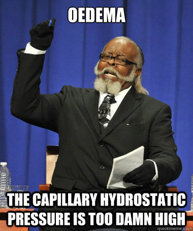 Oedema The capillary hydrostatic pressure is too damn high  The Rent Is Too Damn High