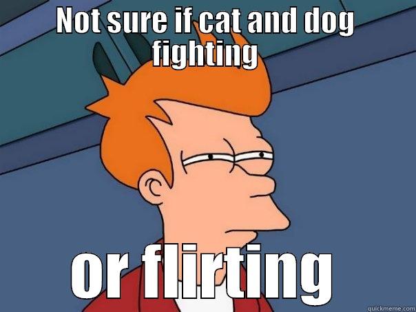NOT SURE IF CAT AND DOG FIGHTING OR FLIRTING Futurama Fry