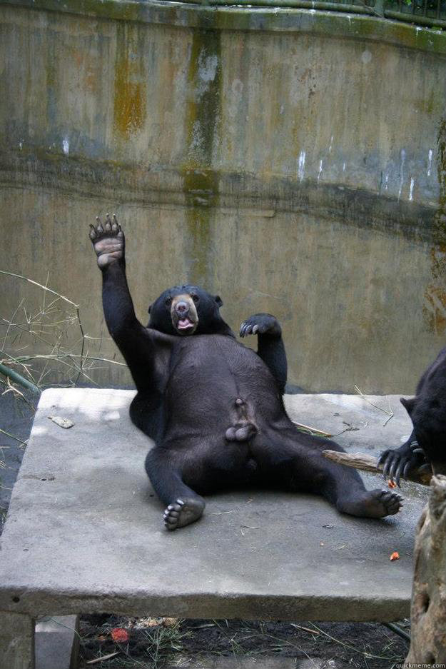    Ballsy Bear