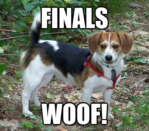 Finals Woof!  