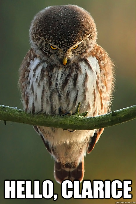  Hello, Clarice  Angry Owl