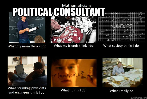 Political Consultant  What  Thinks I Do