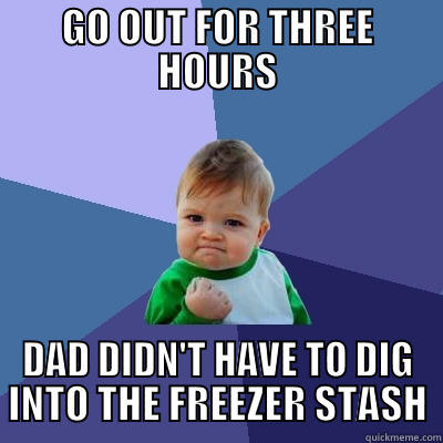 GO OUT FOR THREE HOURS DAD DIDN'T HAVE TO DIG INTO THE FREEZER STASH Success Kid