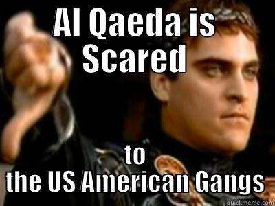 AL QAEDA IS SCARED TO THE US AMERICAN GANGS Downvoting Roman