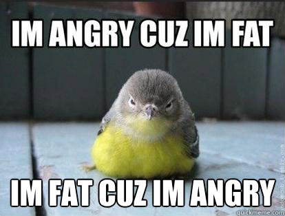  im fat cuz im angry  