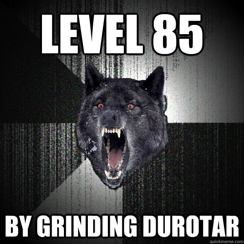 level 85 by grinding durotar  Insanity Wolf
