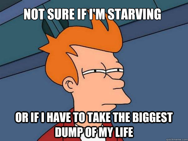 Not sure if I'm starving Or if I have to take the biggest dump of my life  Futurama Fry