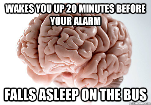 Wakes you up 20 minutes before your alarm Falls asleep on the bus  Scumbag Brain
