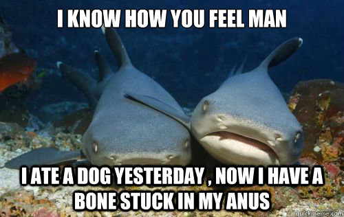 i know how you feel man i ate a dog yesterday , now i have a bone stuck in my anus  Compassionate Shark Friend
