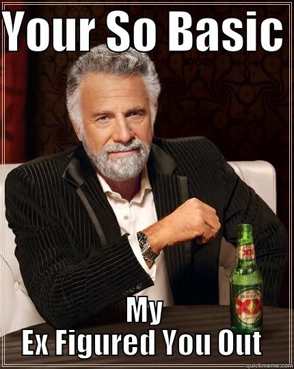 YOUR SO BASIC  MY EX FIGURED YOU OUT  The Most Interesting Man In The World