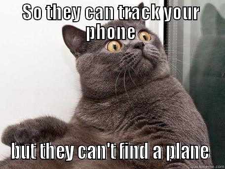 Conspiracy Cat Speaks The Truth - SO THEY CAN TRACK YOUR PHONE BUT THEY CAN'T FIND A PLANE conspiracy cat