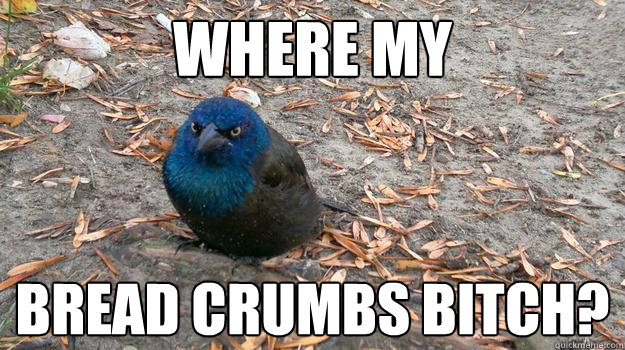 Pissed Off Bird memes | quickmeme