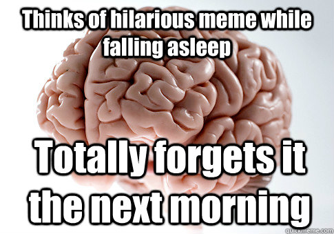 Thinks of hilarious meme while falling asleep Totally forgets it the next morning  Scumbag Brain