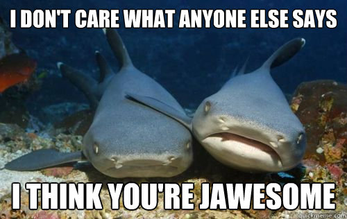 I don't care what anyone else says i think you're jawesome  Compassionate Shark Friend