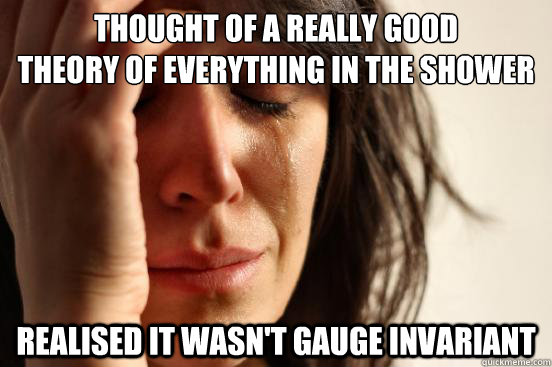 Thought of a really good
Theory of Everything in the shower Realised it wasn't gauge invariant  First World Problems