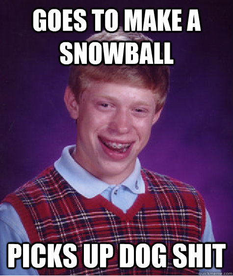 Goes to make a snowball Picks up dog shit - Goes to make a snowball Picks up dog shit  Bad Luck Brian