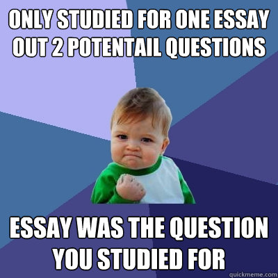 Only studied for one essay out 2 potentail questions Essay was the question you studied for  Success Kid