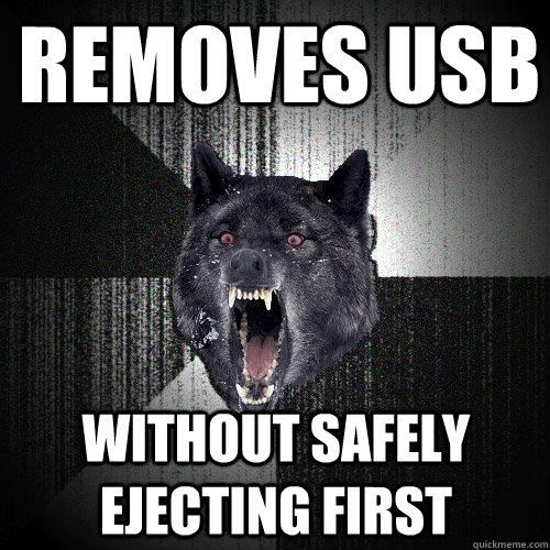 removes usb without safely ejecting first  Insanity Wolf