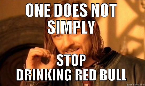 ONE DOES NOT SIMPLY STOP DRINKING RED BULL Boromir
