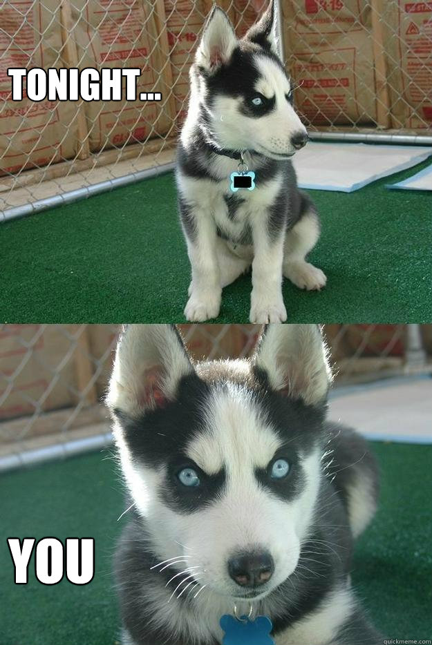 tonight... you  Insanity puppy