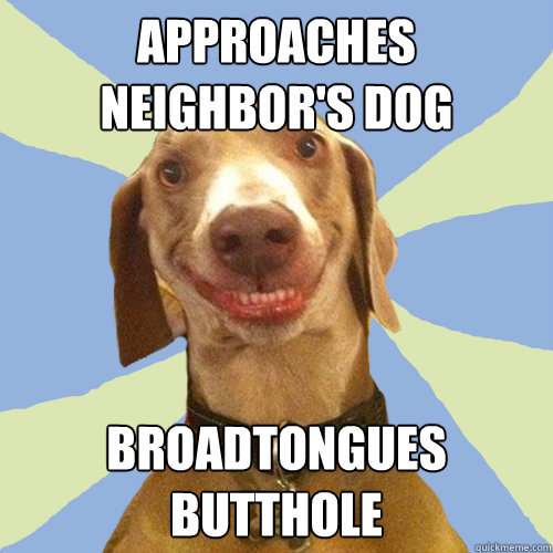 approaches neighbor's dog broadtongues butthole  