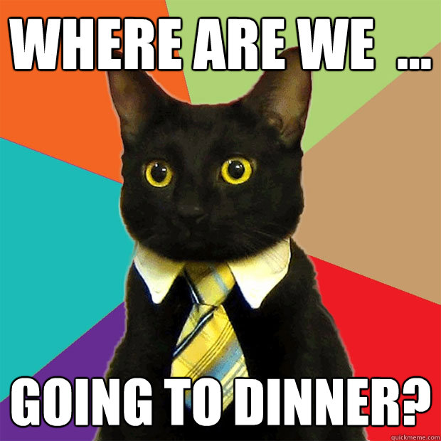 Where are we  ... Going to dinner? - Where are we  ... Going to dinner?  Business Cat