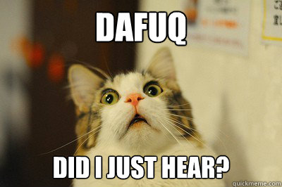 DAFUQ Did I just hear? - DAFUQ Did I just hear?  Catdafuq