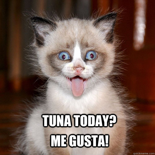 Tuna Today? Me Gusta!  