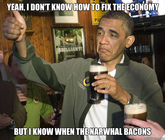yeah, i don't know how to fix the economy but i know when the narwhal bacons  Upvoting Obama
