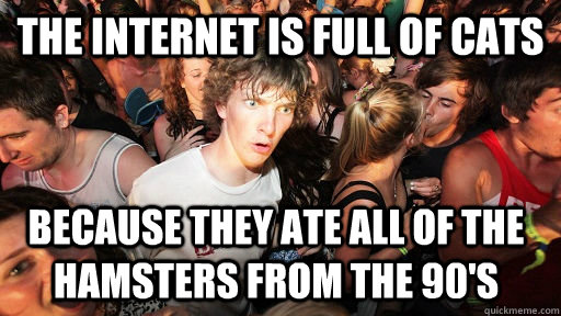 The internet is full of cats Because they ate all of the hamsters from the 90's  Sudden Clarity Clarence