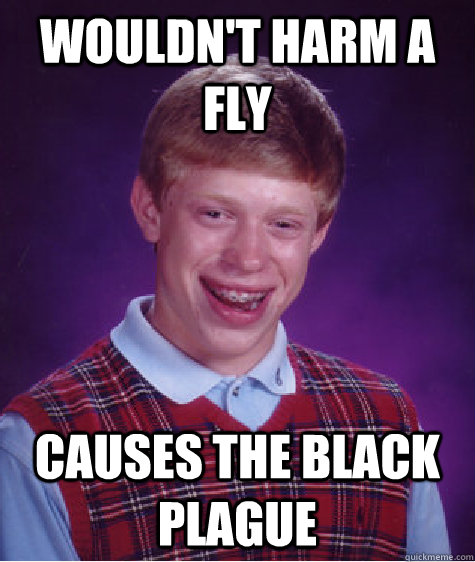 wouldn't harm a fly causes the black plague  Bad Luck Brian