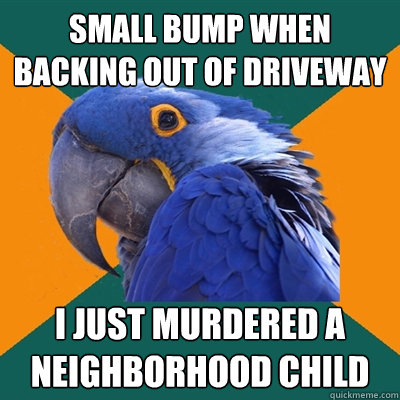 SMALL BUMP WHEN BACKING OUT OF DRIVEWAY I JUST MURDERED A NEIGHBORHOOD CHILD  Paranoid Parrot