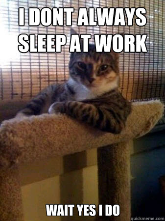 i dont always sleep at work wait yes i do  The Most Interesting Cat in the World