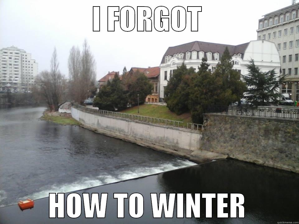 I FORGOT HOW TO WINTER Misc