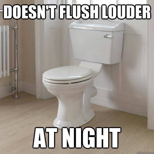 Doesn't flush louder at night  Good Guy Toilet