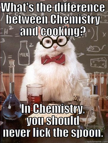 WHAT'S THE DIFFERENCE BETWEEN CHEMISTRY AND COOKING? IN CHEMISTRY, YOU SHOULD NEVER LICK THE SPOON. Chemistry Cat