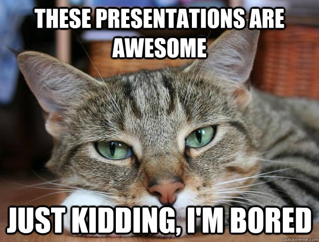 These presentations are awesome Just kidding, I'm bored  Bored cat