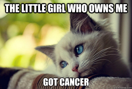 the little girl who owns me got cancer  First World Problems Cat